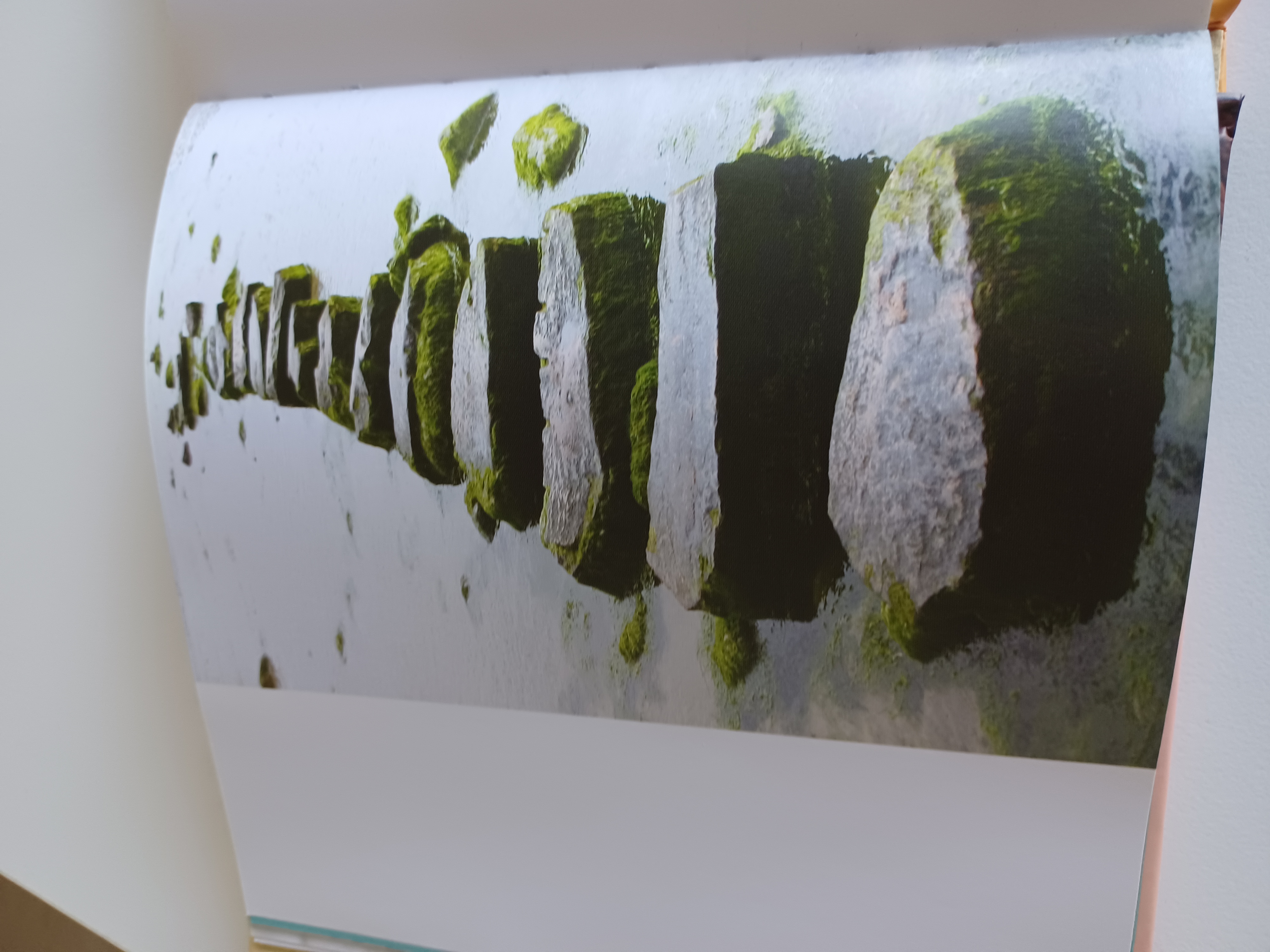 Sammaleiset astinkivet matalassa vedessä, symboloiden askel kerrallaan etenemistä.